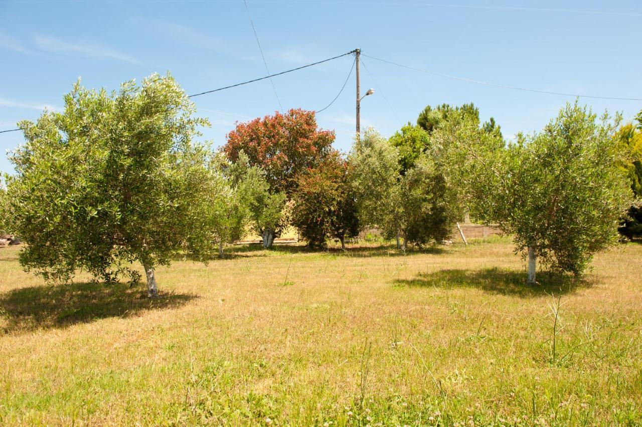 Olives Estate Apartments Grande Preveza Exterior photo