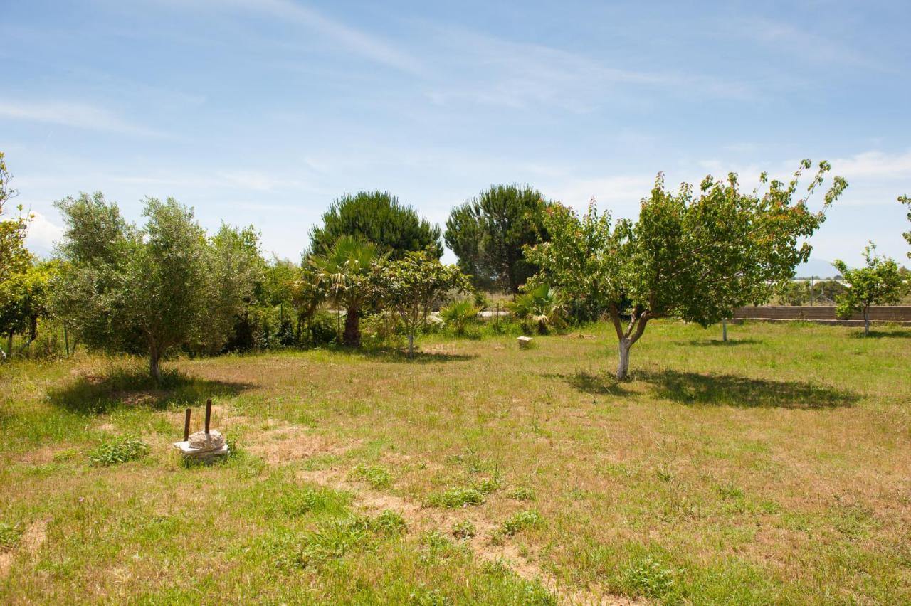 Olives Estate Apartments Grande Preveza Exterior photo