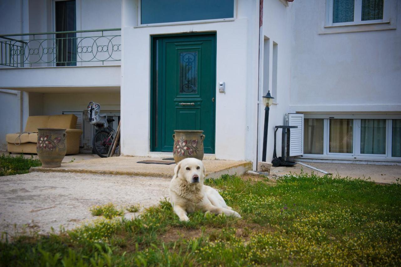 Olives Estate Apartments Grande Preveza Exterior photo